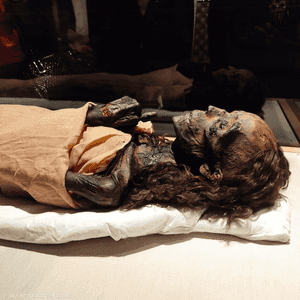 20 مومياء تعرض في قاعة المومياوات الملكية بمتحف الحضارة