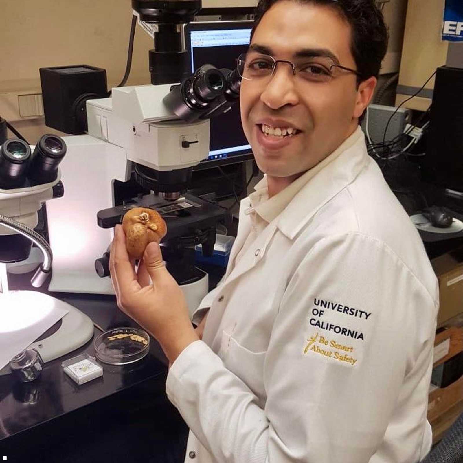 الدكتور عمرو خلف