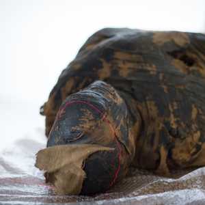 كان يعتقد في البداية أن المومياء كانت رجلاً.