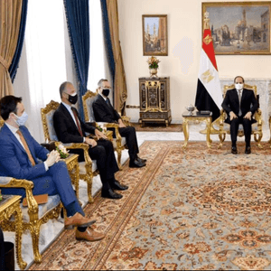 السيسي خلال لقائه جيفري فيلتمان