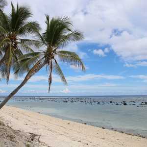 جزيرة نارو طعمت كل سكانها البالغين ضد كورونا