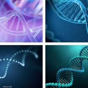 الجينوم البشري يختزن جزيئات من الفيروسات.