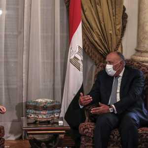 وزيرا خارجية مصر والسعودية - أرشيفية