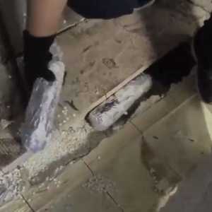 الشحنة كانت مخبأة في ثلاجة شاحنة