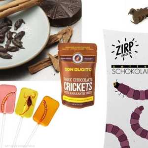 الديدان جزء من الطعام البشري