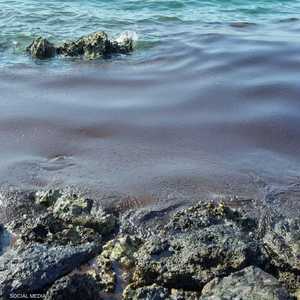 أرشيفية لتسرب بترولي