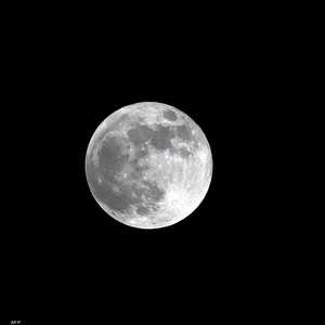 المشروع لا يزال في مراحله الأولى.