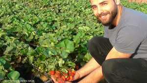 "مزرعة بيتنا" مبادرة لزراعة أسطح المنازل في مصر
