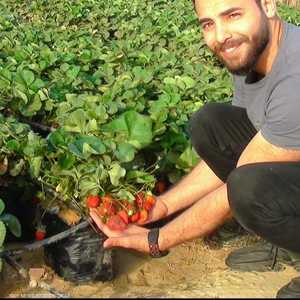 "مزرعة بيتنا" مبادرة لزراعة أسطح المنازل في مصر