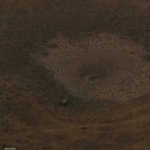 حتى أكثر المناطق الرطبة في البرازيل تعاني من الجفاف