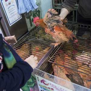 الإصابة انتقلت للرجل من الدواجن.. أرشيفية