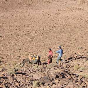 منطقة زاكورة تعاني الجفاف منذ سنوات