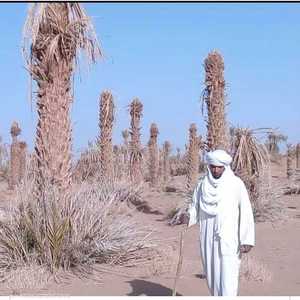 نقص في المياه في بعض مناطق المغرب