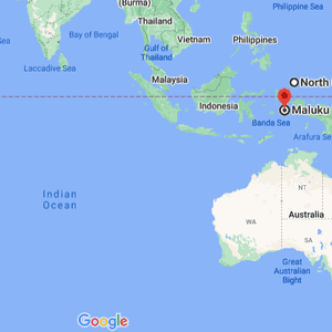 الزلزال وقع في سواحل جزر مالوكو