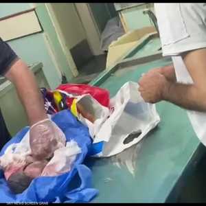 السلطات عند عثورها على جثة الجنين