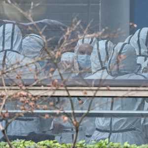 المعلومات بشأن منشأ فيروس كورونا لا تزال متضاربة.