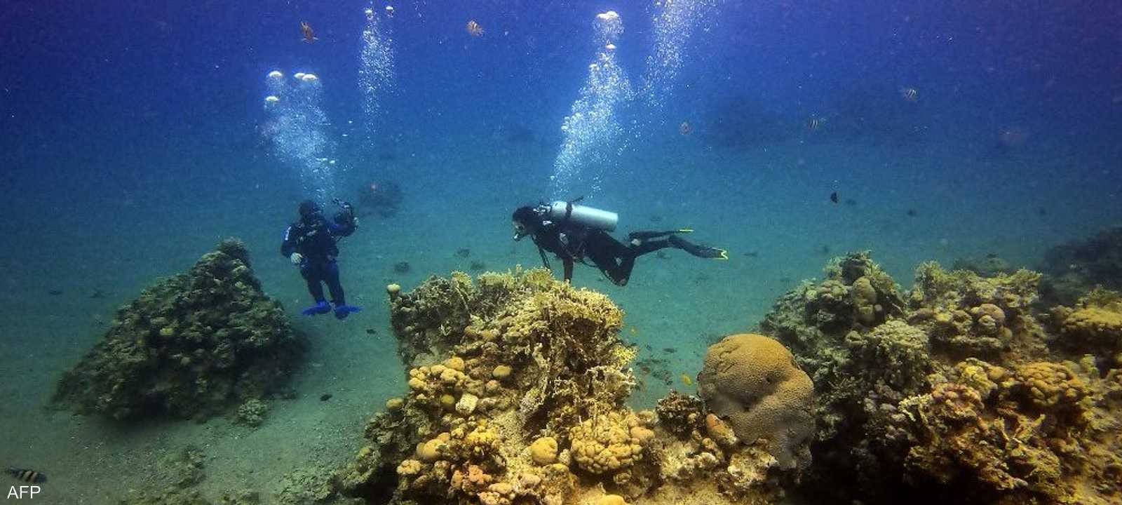 تسعى وزارة البيئة المصرية لحماية شواطئ البحر الأحمر