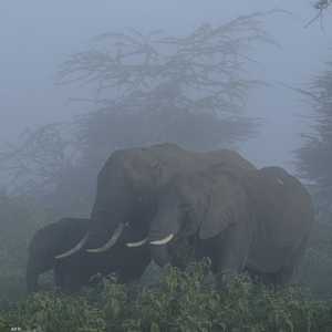 من المتوقع صدور النتائج في خلال أسبوع