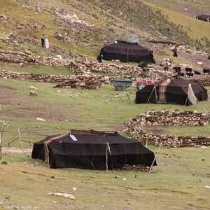 انشغالات البدو الرحل تختفل عن انشغالات المواطن الحضري