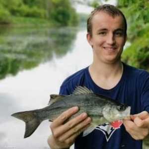 ناثانييل فيلتمان أصبح في يد الشرطة