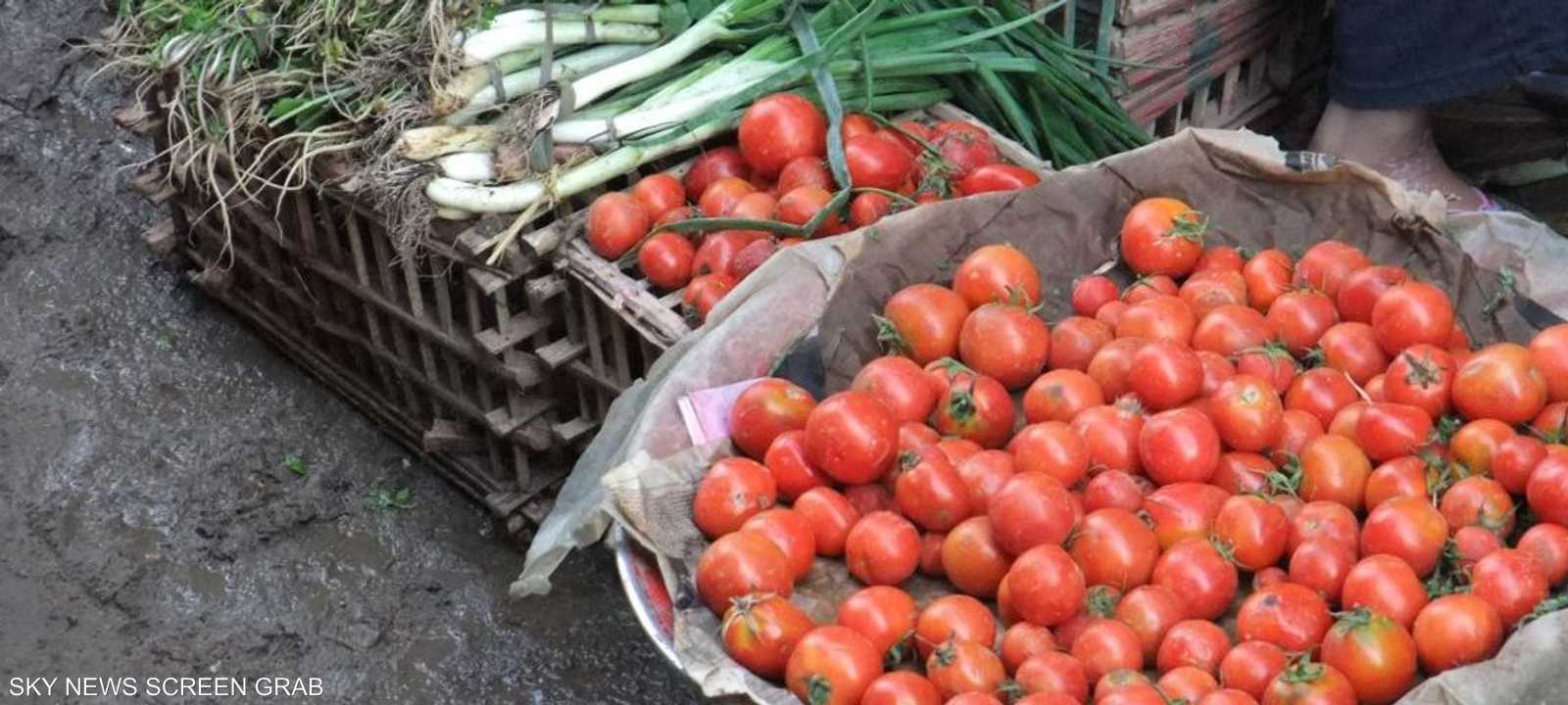 محصول البندورة في مصر معروضا في سوق شعبي