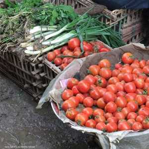 محصول البندورة في مصر معروضا في سوق شعبي