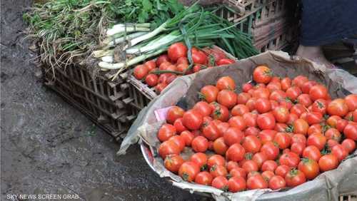 محصول البندورة في مصر معروضا في سوق شعبي