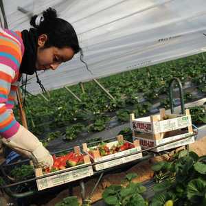 تجمع بين المغرب وإسبانيا اتفاقية لتنظيم تنقل اليد العاملة