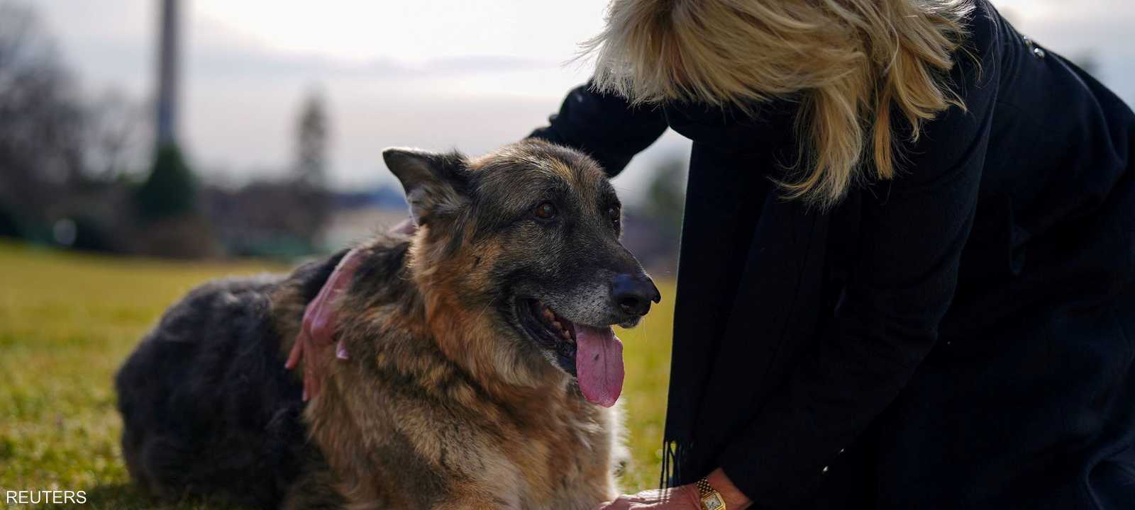 جيل بايدن برفقة تشامب