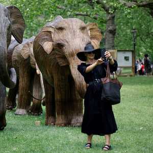 يحتفل عشاق التصوير حول العالم بيوم "السيلفي"