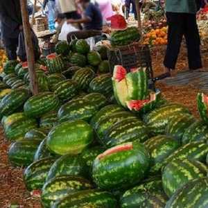 أسعار البطيخ هوت بشكل قياسي في المغرب
