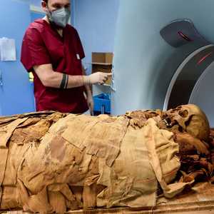 المومياوات من الناحية العملية متحف بيولوجي