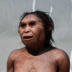 تصور مجسم لإنسان نياندرتال