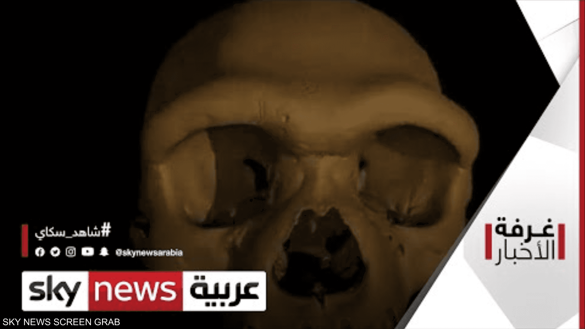 الإنسان التنين : وقصة البشرية