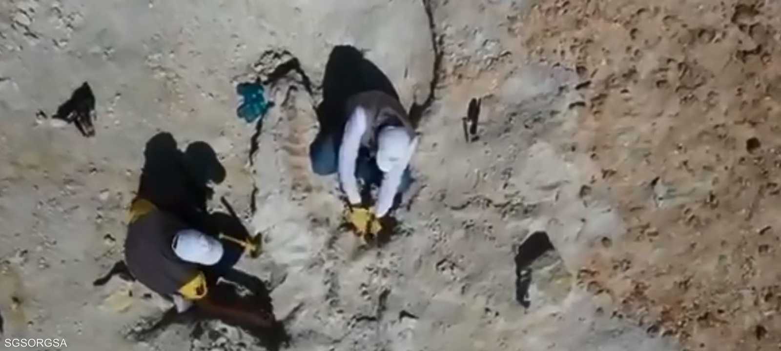 من موقع الاكتشاف