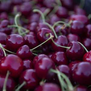 تناول فاكهة الكرز له فوائد قد لا يتوقعها أحد