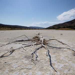 جانب من حالة الجفاف التي تعاني منها كاليفورنيا