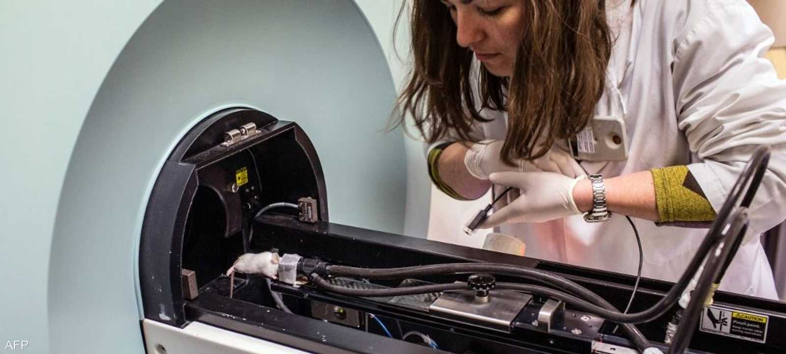 أرشيفية.. يسعى العلماء لاستخدام الخلايا الجذعية بتطوير أعضاء