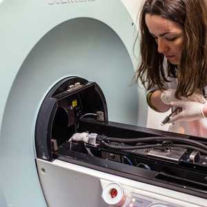 أرشيفية.. يسعى العلماء لاستخدام الخلايا الجذعية بتطوير أعضاء