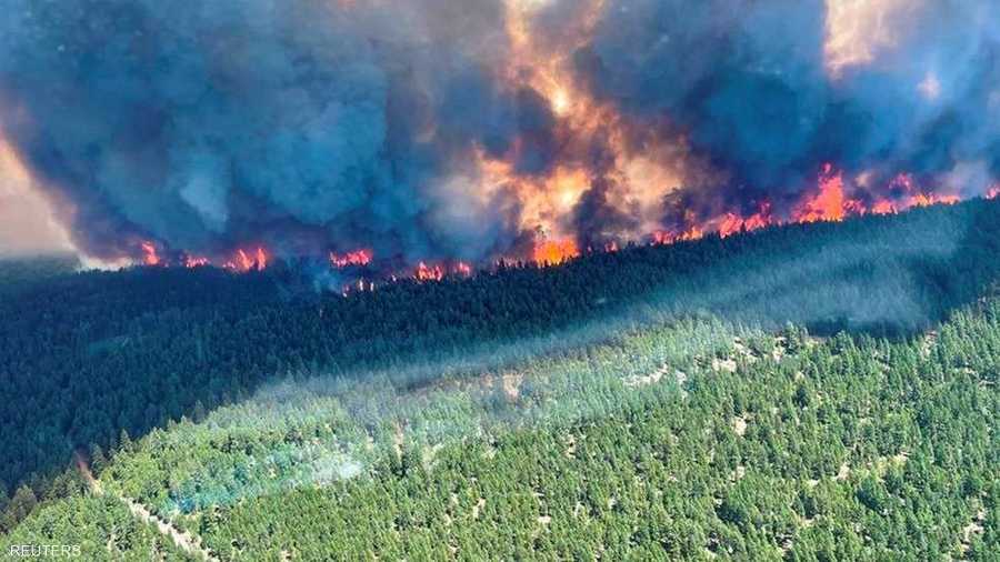 تسببت موجة الحر باندلاع عدد من الحرائق التي اشتعلت في الغابات.