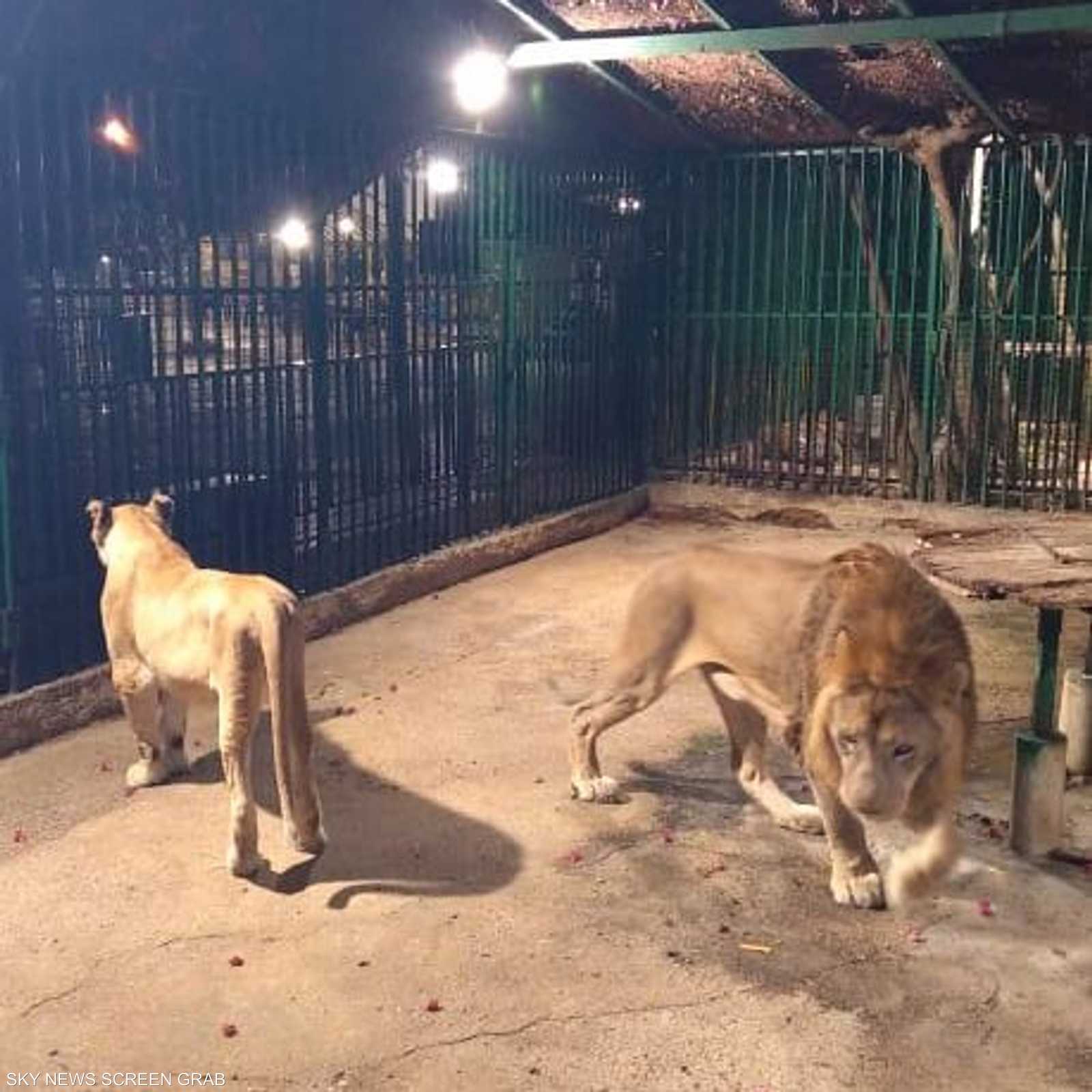 الحديقة تغص بالزوار خصوصا أيام العطل