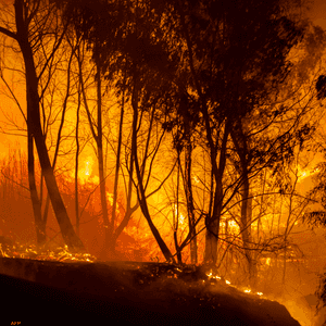 حرائق هائلة انلعت في قبرص ومحاولات مستمرة لإخمادها