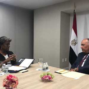 شكري خلال لقاءه مع المندوبة الأميركية لدى الأمم المتحدة