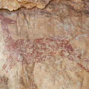 اللوحات جيدة الحفظ