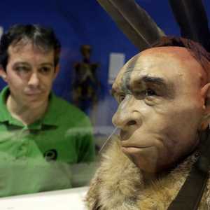 أرشيفية.. إنسان نياندرتال