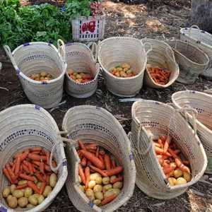 المنتجات العضوية تحظى بإقبال متزايد