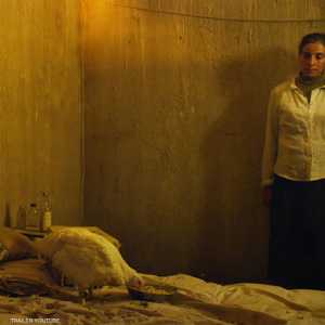 الفيلم يحكي قصة أب يتحول إلى دجاجة