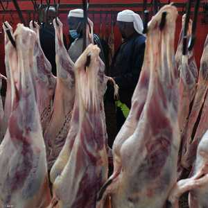 يفضل تناول اللحوم بعد 6-8 ساعات بعد الذبح