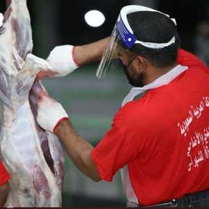 مشروع أضاحي يساعد على تحقيق التكافل الاجتماعي