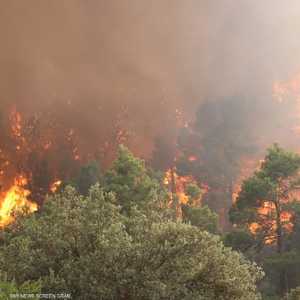 ألسنة اللهب تلتهم غابات خنشلة